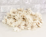 2" Daisy May - 50 Pack - Sola Wood Flowers