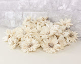 2" Daisy May - 50 Pack - Sola Wood Flowers