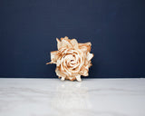 2" Daphney (10 Pack) - Sola Wood Flowers