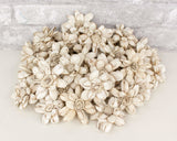 2" Distressed Daisy - 50 Pack - Sola Wood Flowers