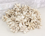 2" Distressed Daisy - 50 Pack - Sola Wood Flowers