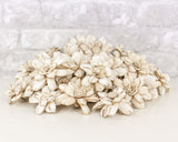 2" Distressed Daisy - 50 Pack - Sola Wood Flowers