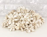 2" Distressed Daisy - 50 Pack - Sola Wood Flowers