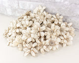 2" Distressed Daisy - 50 Pack - Sola Wood Flowers