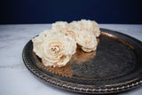 2" Dottie Ann (10 Pack) - Sola Wood Flowers