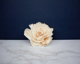 2" Dottie Ann (10 Pack) - Sola Wood Flowers