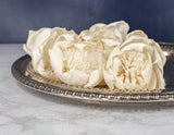 2" Fresia (10 Pack) - Sola Wood Flowers