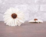 2" Gerbera Daisy (10 Pack) - Sola Wood Flowers
