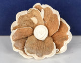 2" Hana (10 pack) - Sola Wood Flowers