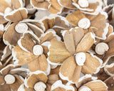2" Hana - 50 Pack - Sola Wood Flowers