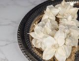 2" June (10 Pack) - Sola Wood Flowers