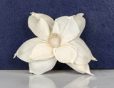 2" June (10 Pack) - Sola Wood Flowers