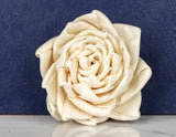 2" Kass (10 pack) - Sola Wood Flowers