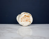 2" Lady Banks Rose Buds(10 Pack) - Sola Wood Flowers
