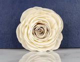 2" Mae (10 Pack) - Sola Wood Flowers
