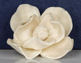 2" Magnolia (10 Pack) - Sola Wood Flowers