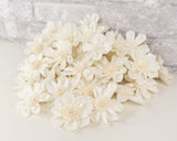 2" Maria - 50 Pack - Sola Wood Flowers
