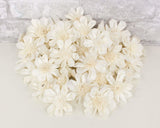 2" Maria - 50 Pack - Sola Wood Flowers