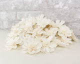 2" Maria - 50 Pack - Sola Wood Flowers