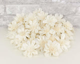 2" Maria - 50 Pack - Sola Wood Flowers