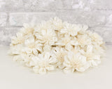 2" Maria - 50 Pack - Sola Wood Flowers