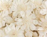 2" Maria - 50 Pack - Sola Wood Flowers