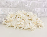 2" Maria - 50 Pack - Sola Wood Flowers