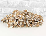 2" Mila - 50 Pack - Sola Wood Flowers