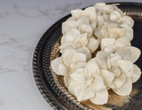 2" Nova (10 Pack) - Sola Wood Flowers