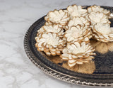 2" Penny (10 Pack) - Sola Wood Flowers