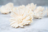2" Prarie Sunflower (10 Pack) - Sola Wood Flowers
