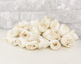 2" Precious Tulip - 50 Pack - Sola Wood Flowers