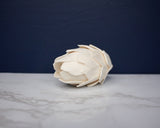 2" Protea (10 pack) - Sola Wood Flowers
