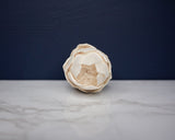 2" Protea (10 pack) - Sola Wood Flowers