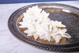 2" Royal Jasmine (10 Pack) - Sola Wood Flowers