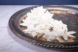 2" Royal Jasmine (10 Pack) - Sola Wood Flowers
