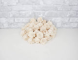 2" Spiral - 50 Pack - Sola Wood Flowers