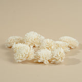 2" Wild Zinnia (10 pack) - Sola Wood Flowers