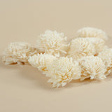 2" Wild Zinnia (10 pack) - Sola Wood Flowers