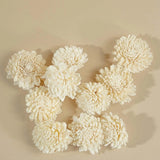 2" Wild Zinnia (10 pack) - Sola Wood Flowers