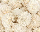 2" Zinnia - 50 Pack - Sola Wood Flowers