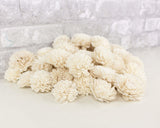 2" Zinnia - 50 Pack - Sola Wood Flowers