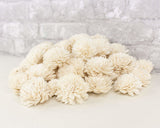 2" Zinnia - 50 Pack - Sola Wood Flowers