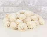 2" Zinnia - 50 Pack - Sola Wood Flowers