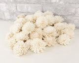 2" Zinnia - 50 Pack - Sola Wood Flowers