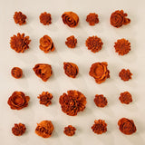 25 - Pack of Terracotta - Colored Mixed Flowers - Sola Wood Flowers