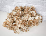 3" Almond - 50 Pack - Sola Wood Flowers