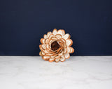3" Almond Daisy (10 Pack) - Sola Wood Flowers