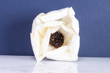 3" Anemone Coronaria (10 Pack) - Sola Wood Flowers