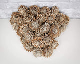 3" Bark Zinnia - 50 Pack - Sola Wood Flowers